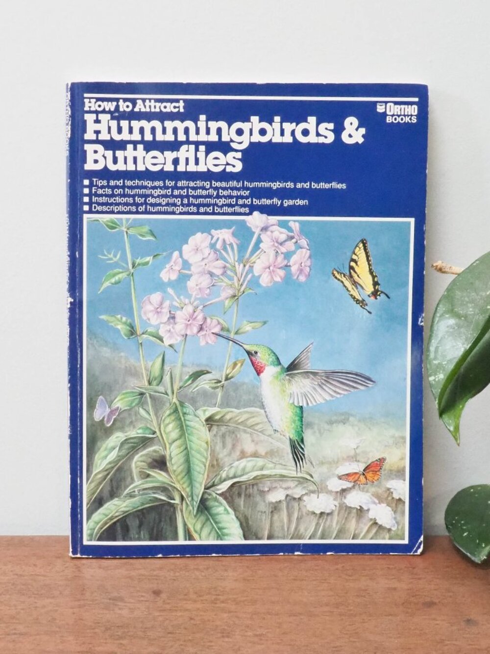How to Attract Hummingbirds & Butterflies - 1991 - Ortho Books - Vintage Garden